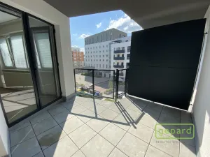 Pronájem bytu 2+kk, Olomouc, Eduarda Hamburgera, 54 m2