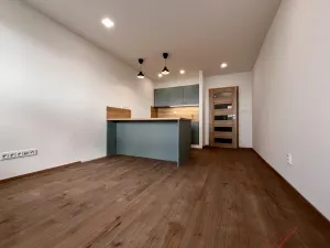 Pronájem bytu 1+kk, Ostrava - Moravská Ostrava, Lechowiczova, 27 m2