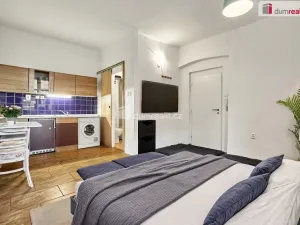 Pronájem bytu 1+kk, Ústí nad Labem - Ústí nad Labem-centrum, Emy Destinové, 21 m2