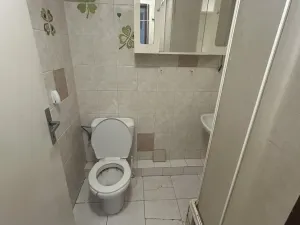 Pronájem bytu 1+kk, Neratovice, Hlavní, 15 m2