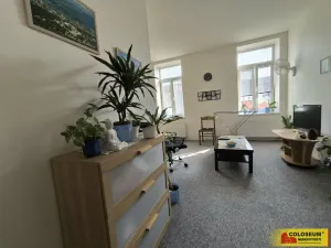 Pronájem bytu 1+1, Boskovice, 46 m2