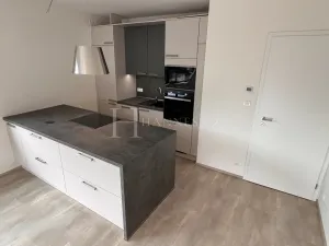Pronájem bytu 2+kk, Praha - Karlín, U Sluncové, 65 m2