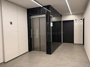 Pronájem bytu 2+kk, Praha - Karlín, U Sluncové, 65 m2