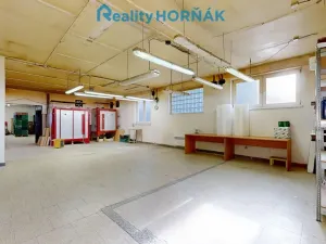 Prodej výrobních prostor, Bechyně, U Vodojemu, 496 m2