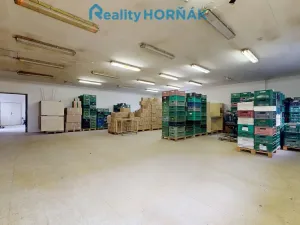Prodej výrobních prostor, Bechyně, U Vodojemu, 496 m2
