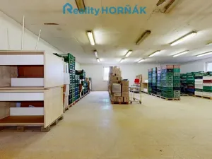 Prodej výrobních prostor, Bechyně, U Vodojemu, 496 m2