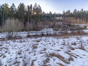 Prodej pozemku pro bydlení, Žihobce - Šimanov, 15955 m2