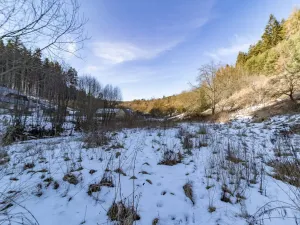 Prodej pozemku pro bydlení, Žihobce - Šimanov, 15955 m2
