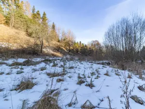 Prodej pozemku pro bydlení, Žihobce - Šimanov, 15955 m2
