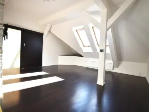 Prodej bytu 2+1, Plzeň - Lobzy, Masarykova, 88 m2