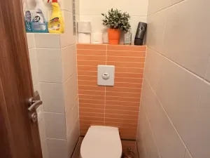 Prodej rodinného domu, Město Touškov, Mírová, 240 m2