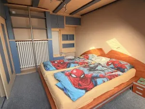 Prodej rodinného domu, Město Touškov, Mírová, 240 m2