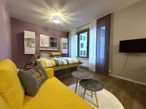 Pronájem bytu 1+kk, Plzeň - Východní Předměstí, Pallova, 37 m2