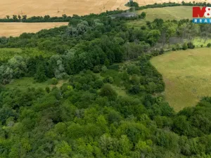 Prodej louky, Chabařovice - Roudníky, 46243 m2