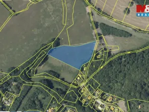 Pronájem louky, Petrov, 7761 m2