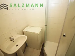 Pronájem bytu 1+1, Plzeň, Blatenská, 38 m2