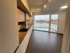 Pronájem bytu 3+kk, České Budějovice, Hálkova, 50 m2