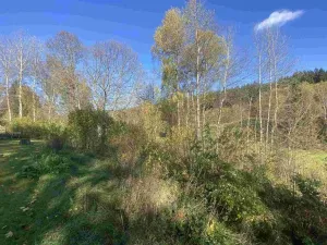 Prodej pozemku, Lučany nad Nisou - Jindřichov, 449 m2