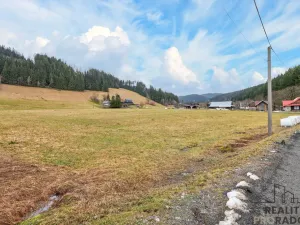Prodej pozemku pro bydlení, Velké Karlovice, 45173 m2