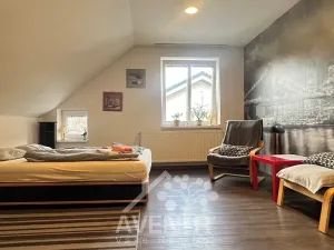 Pronájem bytu 1+1, Plavy, 45 m2