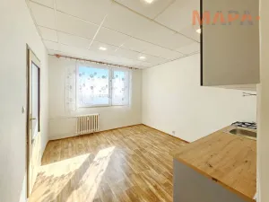 Pronájem bytu 1+1, Jirkov, Pionýrů, 36 m2