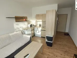 Pronájem bytu 1+kk, Cheb, Šeříková, 19 m2