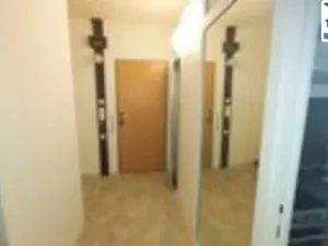 Pronájem bytu 2+1, Cheb, Přátelství, 60 m2