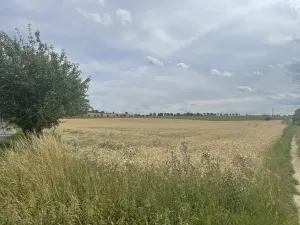 Prodej pole, Krásněves, 12 m2