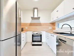Pronájem bytu 4+kk, Radostice, Nová, 90 m2