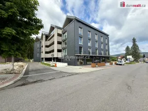 Prodej obchodního prostoru, Harrachov, 45 m2