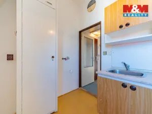 Prodej bytu 1+1, Aš, Vysoká, 31 m2