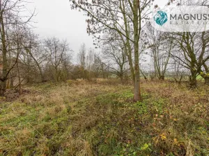 Prodej pozemku pro bydlení, Libina, 7132 m2