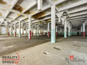 Prodej výrobních prostor, Velké Hamry - Bohdalovice, 14500 m2