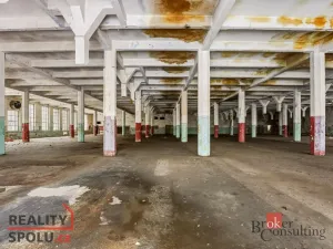 Prodej výrobních prostor, Velké Hamry - Bohdalovice, 14500 m2
