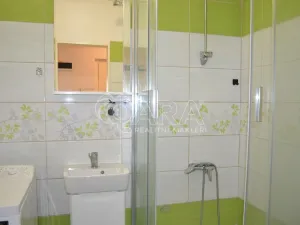 Prodej bytu 1+1, Milovice - Mladá, Višňová, 42 m2