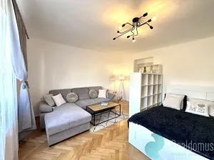 Pronájem bytu 1+1, České Budějovice, Pabláskova, 45 m2