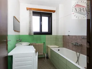 Prodej rodinného domu, Týnec nad Sázavou, K. H. Máchy, 150 m2