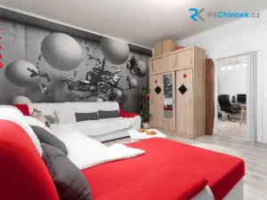 Prodej - jiné, Frýdek-Místek, H. Salichové, 345 m2