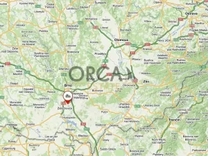 Prodej podílu lesa, Vojkovice, 4526 m2