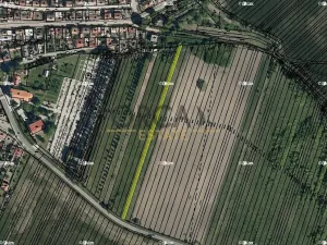 Prodej pole, Dubňany, 1253 m2