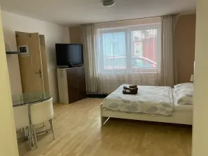 Prodej ubytování, Olomouc, Rejskova, 154 m2