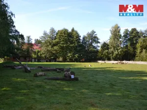 Prodej výrobních prostor, Miletín, Lhotova, 22000 m2