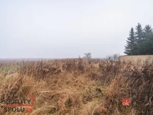 Prodej pozemku pro bydlení, Olešná, 2187 m2