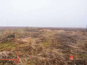 Prodej pozemku pro bydlení, Olešná, 2187 m2