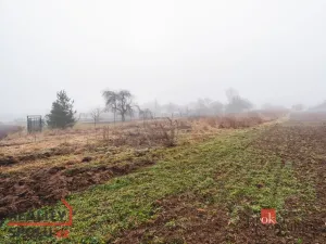 Prodej pozemku pro bydlení, Olešná, 2187 m2