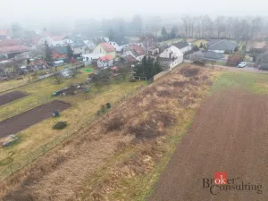 Prodej pozemku pro bydlení, Olešná, 2187 m2