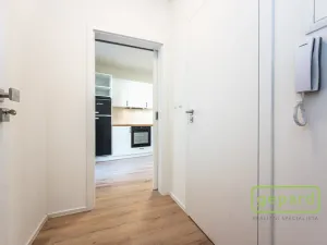 Pronájem bytu 1+1, Praha - Smíchov, Pod Barvířkou, 32 m2