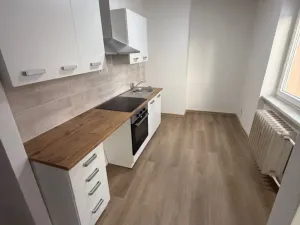 Pronájem bytu 2+1, Břidličná, Dlouhá, 51 m2