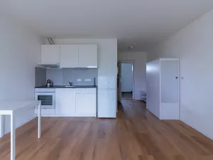 Pronájem bytu 1+kk, Zdiby, 31 m2