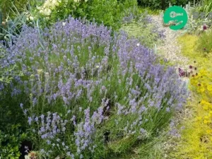 Prodej chaty, Kadaň - Tušimice, 30 m2